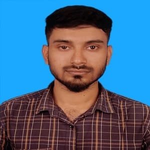 Hussain Mridul